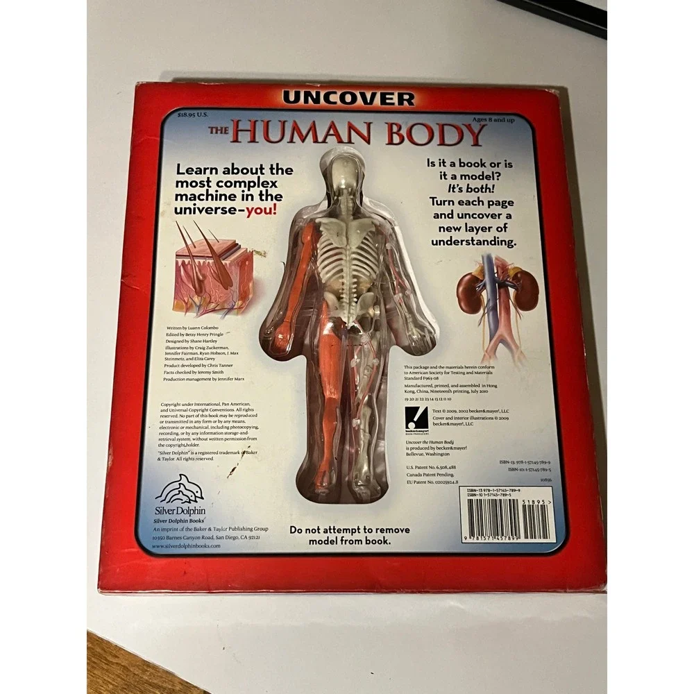 Uncover The Human Body Luann Colombo 3D Model Anatomy Book Silver Dolphin 2010